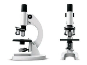 Best Affordable Microscopes