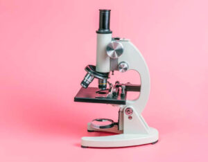 Best Microscope for Teenagers