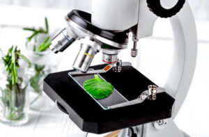 Best Plant Cell Microscopes