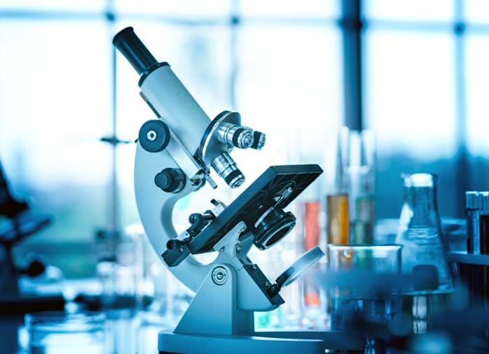 Why Is The Light Microscope Called A Compound Microscope? Microscope Tour