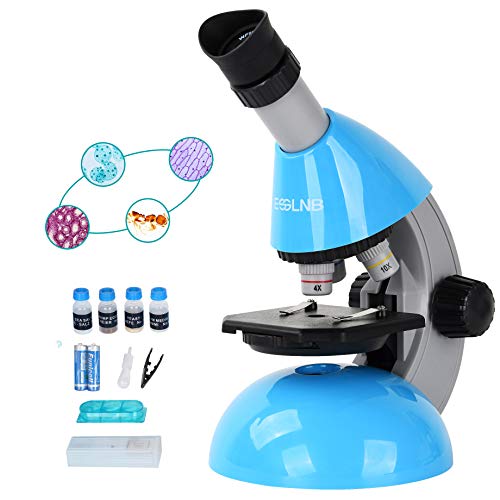 10 Best Beginner Microscopes Reviews 2022 | User-Friendly