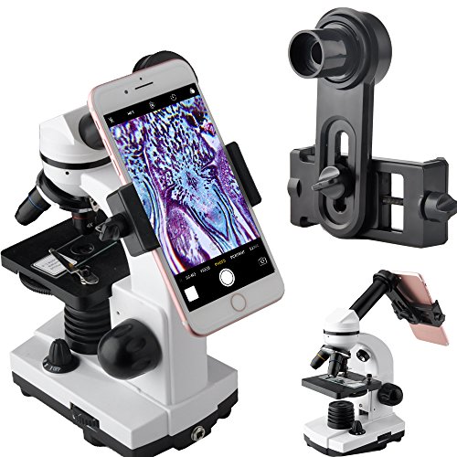 8 Best Cell Phone Microscopes Reviews 2022 MultiPurpose